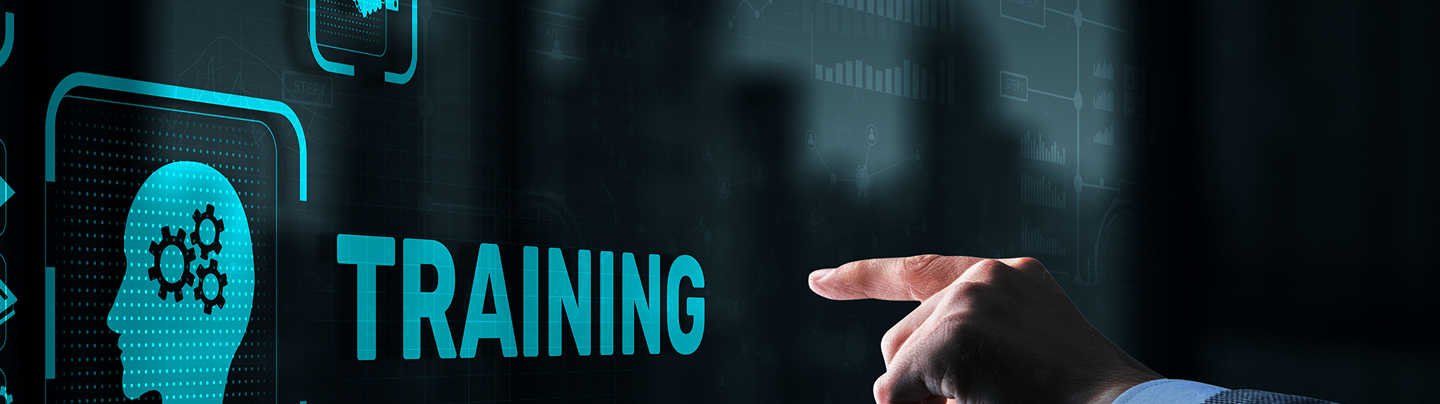 Training & Consultancy