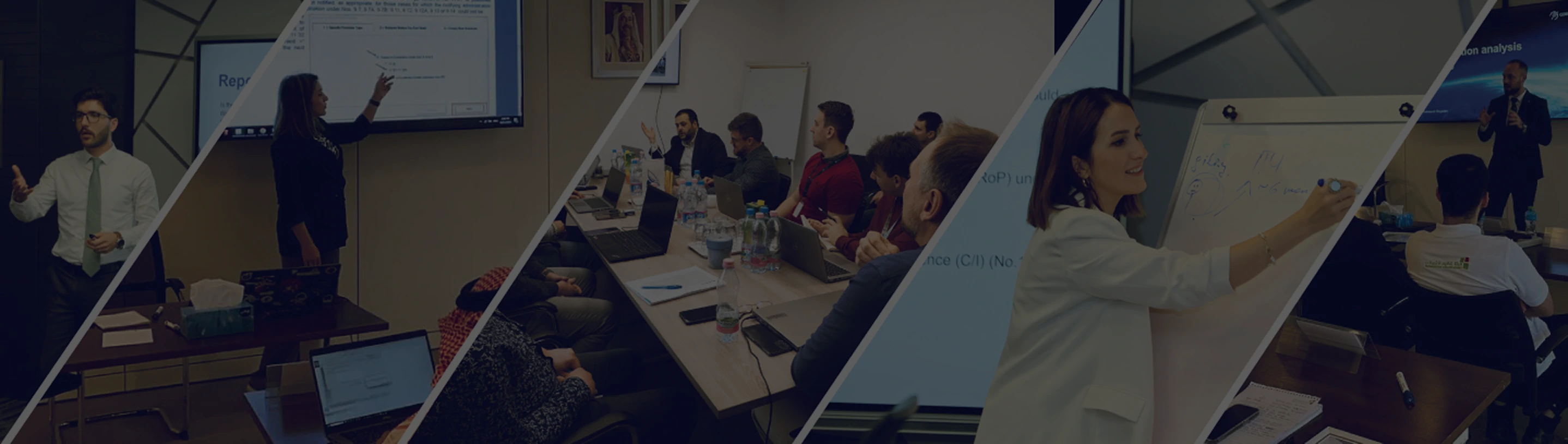 Training & Consultancy